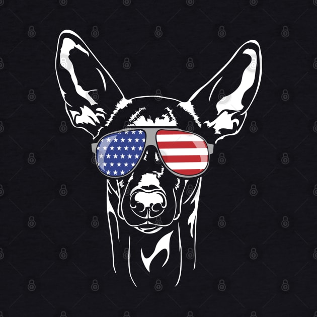 Funny Proud Pharaoh Hound American Flag sunglasses by wilsigns